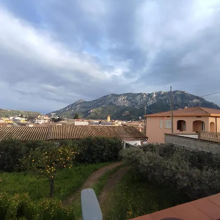 Su Survaju Lejlighed